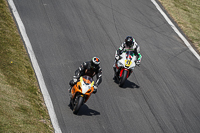 Advanced Group Orange Bikes